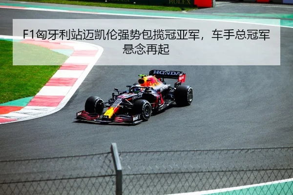 F1匈牙利站迈凯伦强势包揽冠亚军，车手总冠军悬念再起